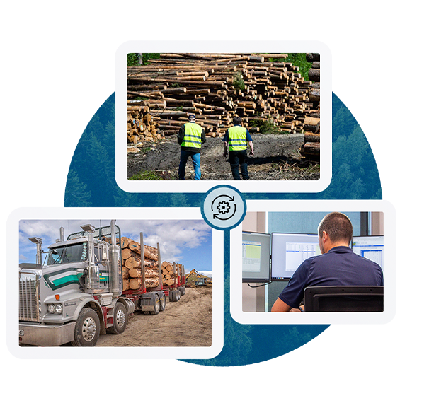 An infographic shows images. Top: two workers inspect log piles. Left: a truck carries logs. Right: a person uses computer monitors. Blueprint design.