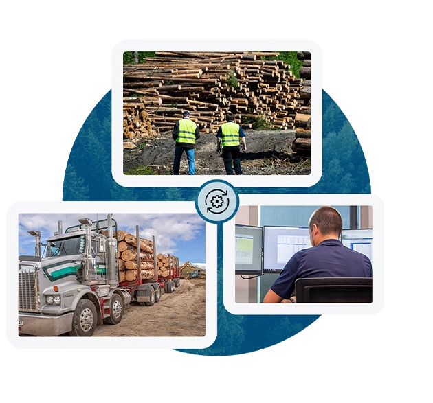 An infographic shows images. Top: two workers inspect log piles. Left: a truck carries logs. Right: a person uses computer monitors. Blueprint design.
