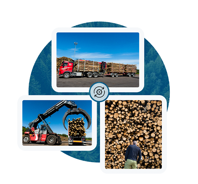 A collage of three images shows a red truck carrying logs, a machine lifting wood, and a person inspecting a large stack of logs.