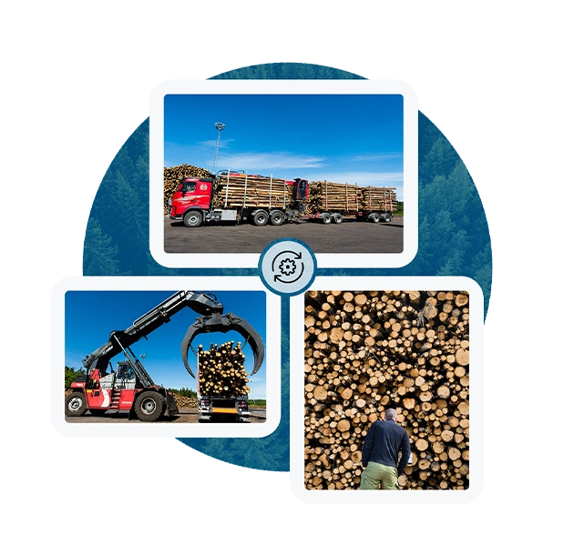 A collage of three images shows a red truck carrying logs, a machine lifting wood, and a person inspecting a large stack of logs.
