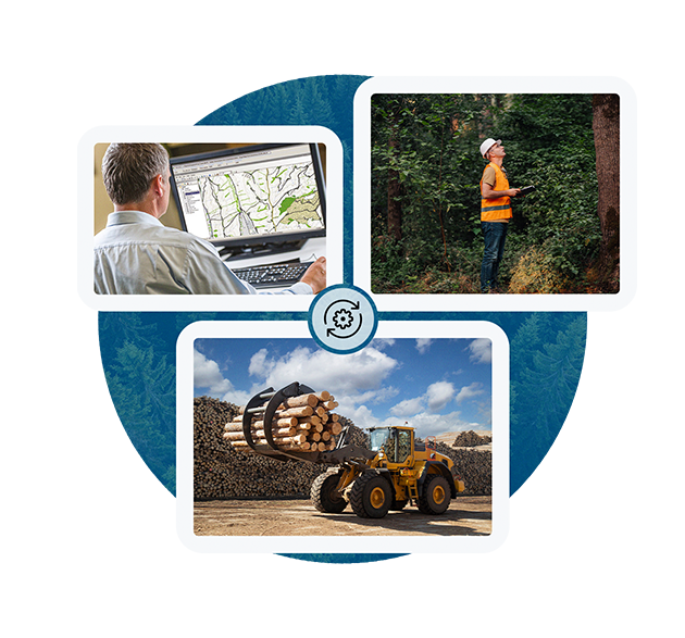 Collage of forestry: top left shows a man at a computer with a map, top right shows a man in a forest, bottom displays logs and an excavator.