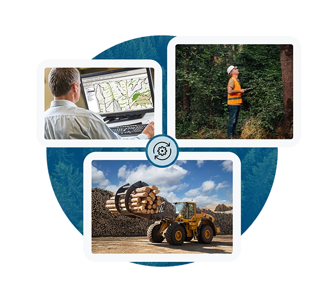 Collage zum Thema Forstwirtschaft: Oben links ist ein Mann an einem Computer mit einer Karte zu sehen, oben rechts ein Mann im Wald, unten Baumstämme und ein Bagger.