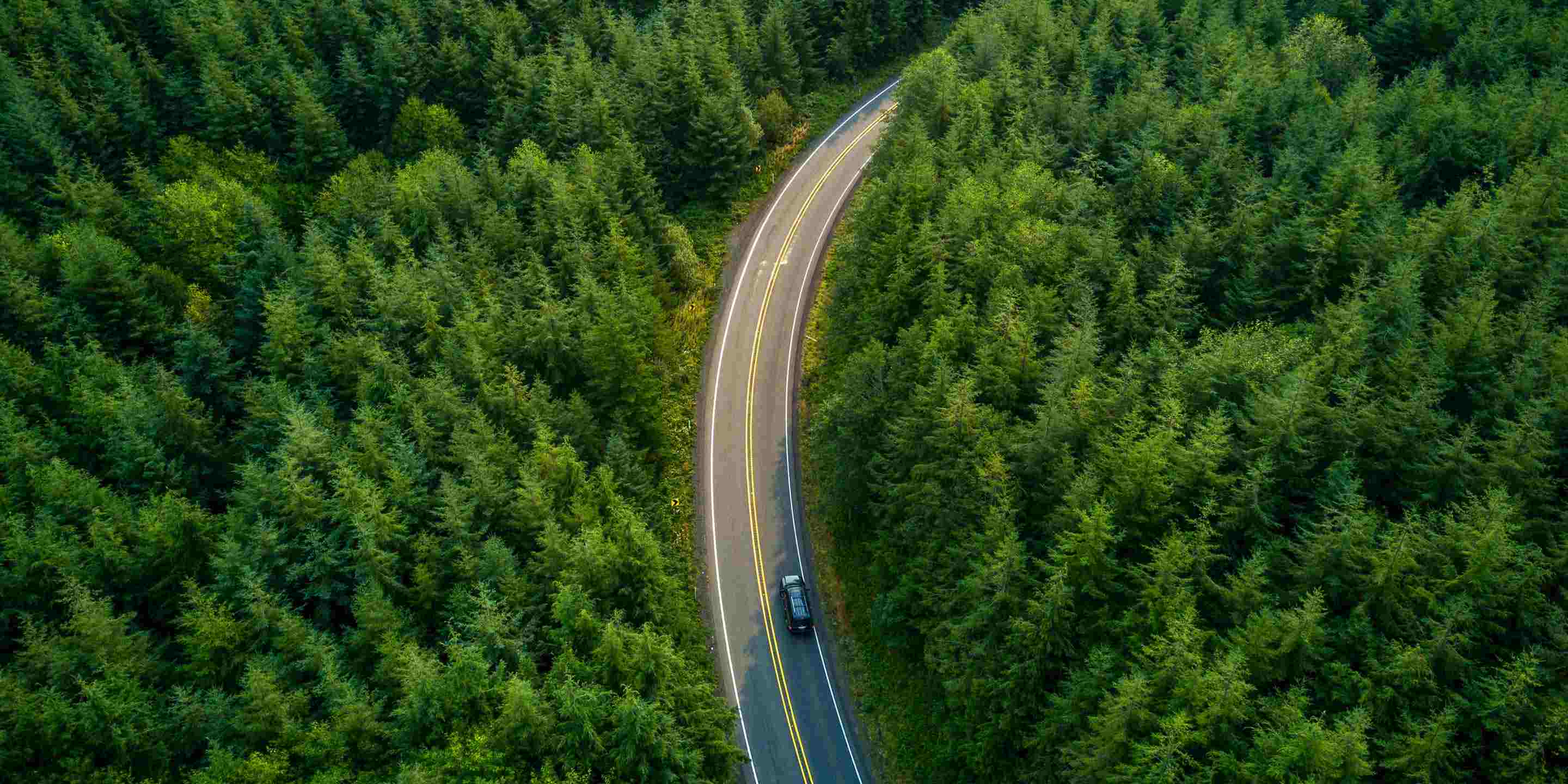 An aerial view of a dark SUV driving on a winding asphalt road through a dense, lush green evergreen forest.