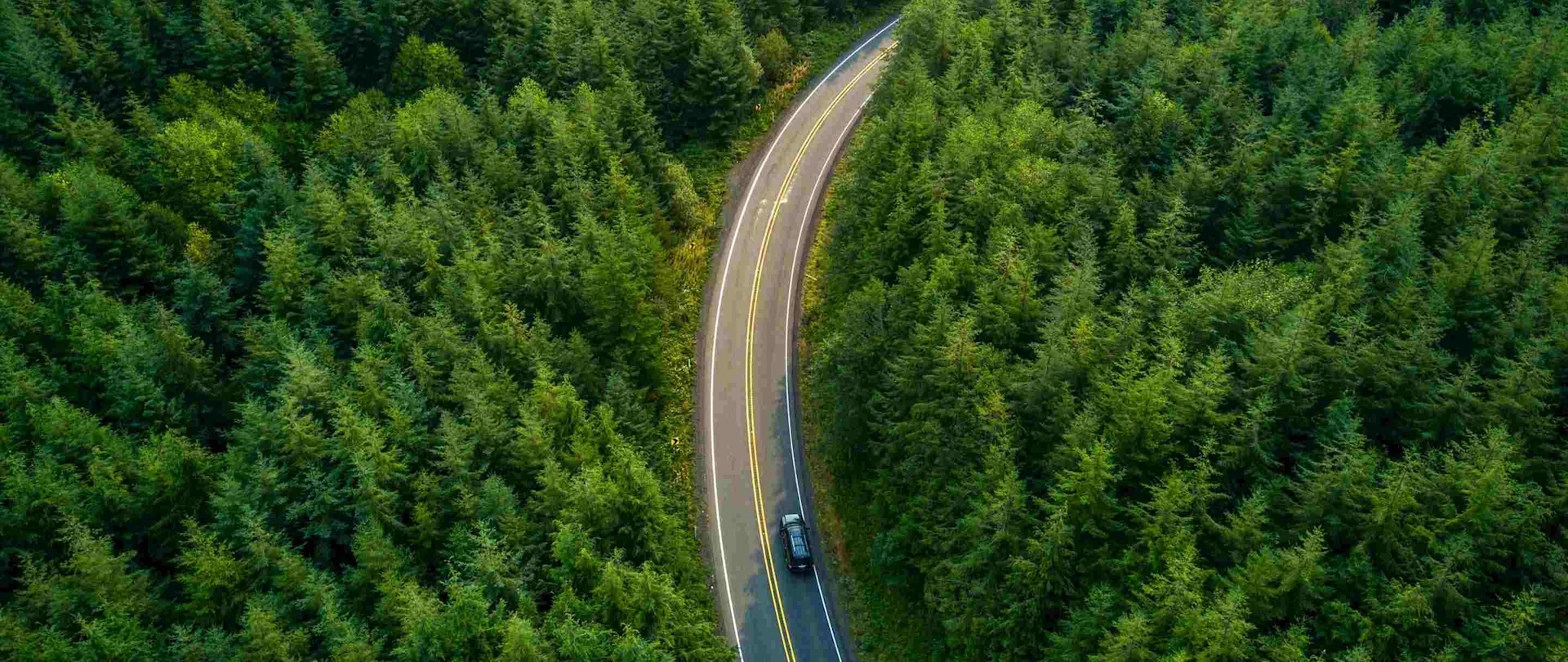 An aerial view of a dark SUV driving on a winding asphalt road through a dense, lush green evergreen forest.