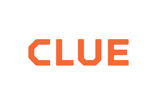 Clue Insights, Inc Logo