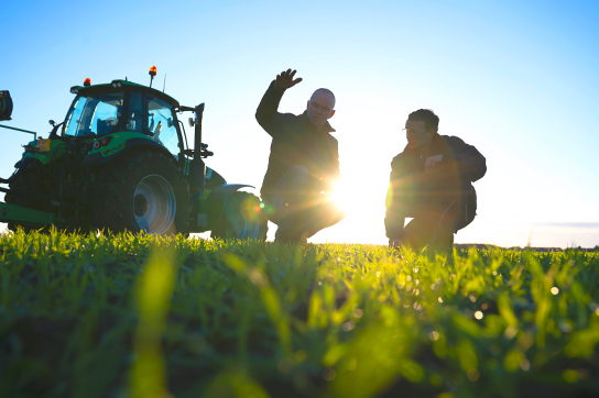 Two agricultural workers, silhouetted against a bright sunset, inspect young crops in a field, with one gesturing, and a large green tractor partially visible behind them.