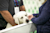 DIMS_Expo_DB-08