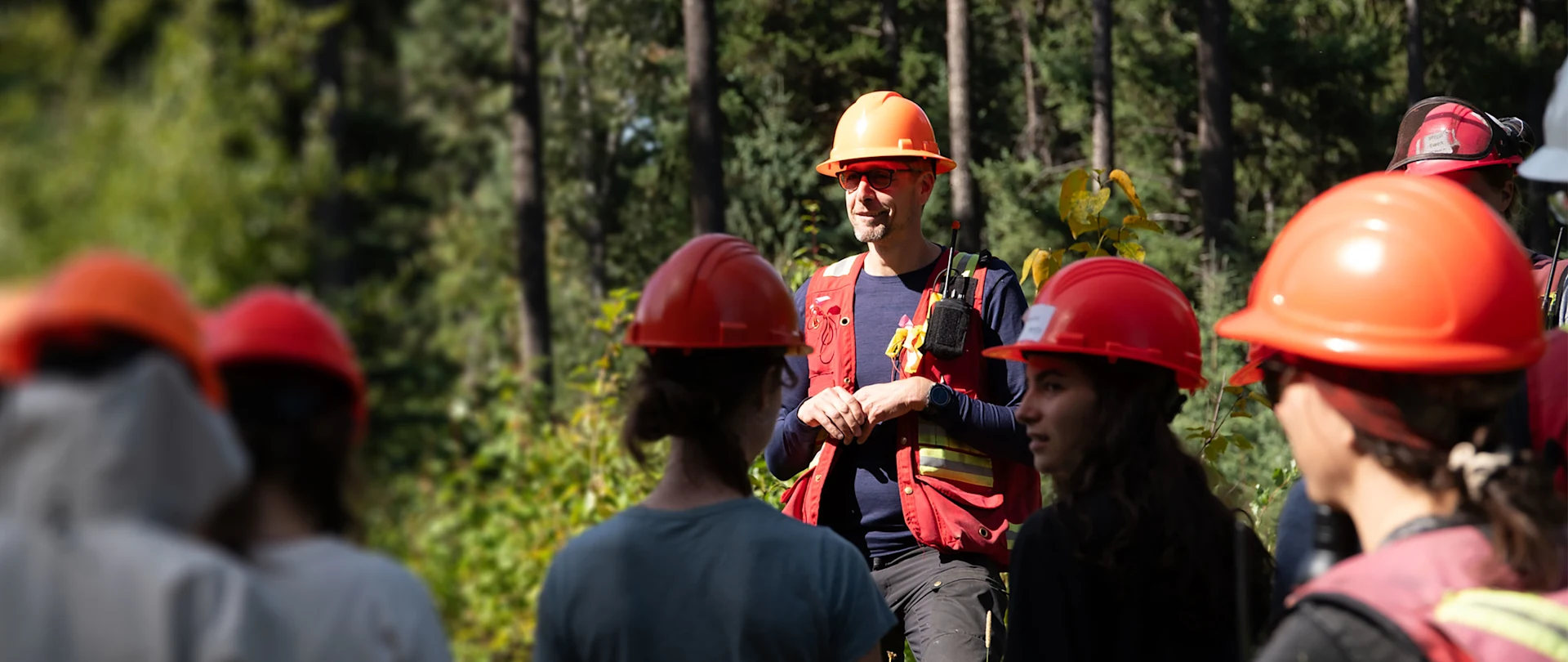 Professor guiding students wearing hard hats at research forest at University of British Columbia