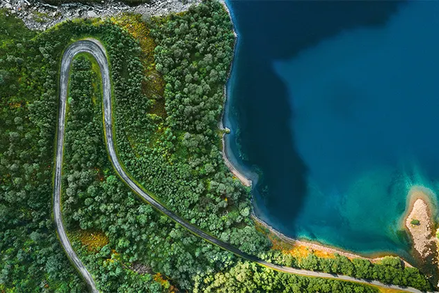 Aerial view of winding road in forest next to sea