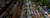 Upward view of tall trees in forest
