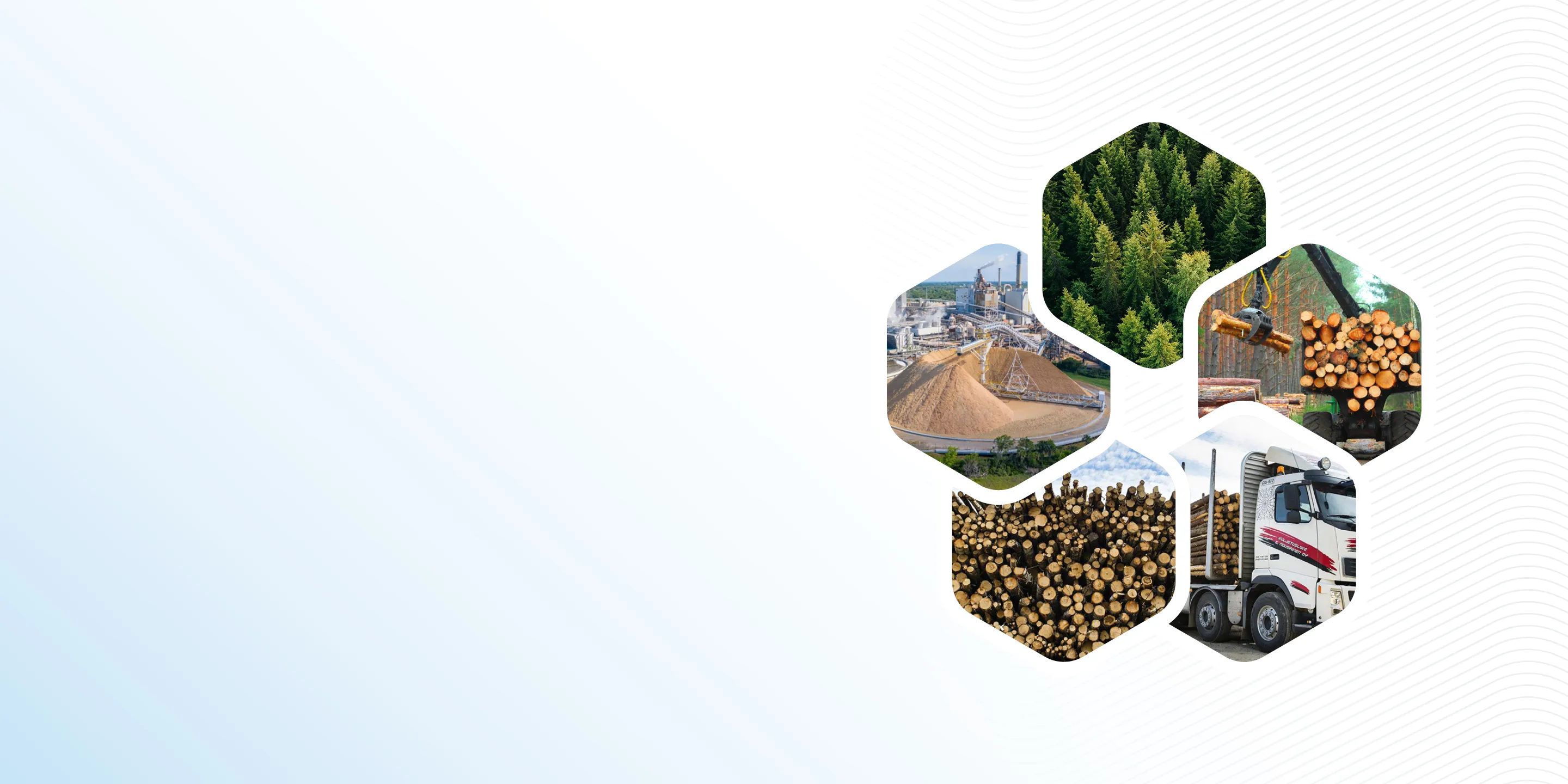 Collage of forestry: lush trees, a processing facility, stacked logs, harvested timber, and a logging truck. White and light blue background.