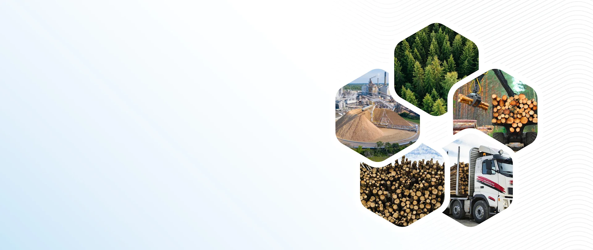 Collage of forestry: lush trees, a processing facility, stacked logs, harvested timber, and a logging truck. White and light blue background.