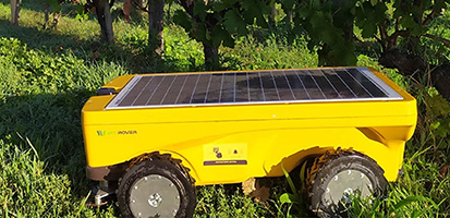 A small, bright yellow autonomous robot with a large solar panel on its top is positioned amidst rows of grapevines, partially obscured by the green foliage.