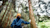 A person in a yellow cap and blue jacket stands in forest touching a tree trunk.