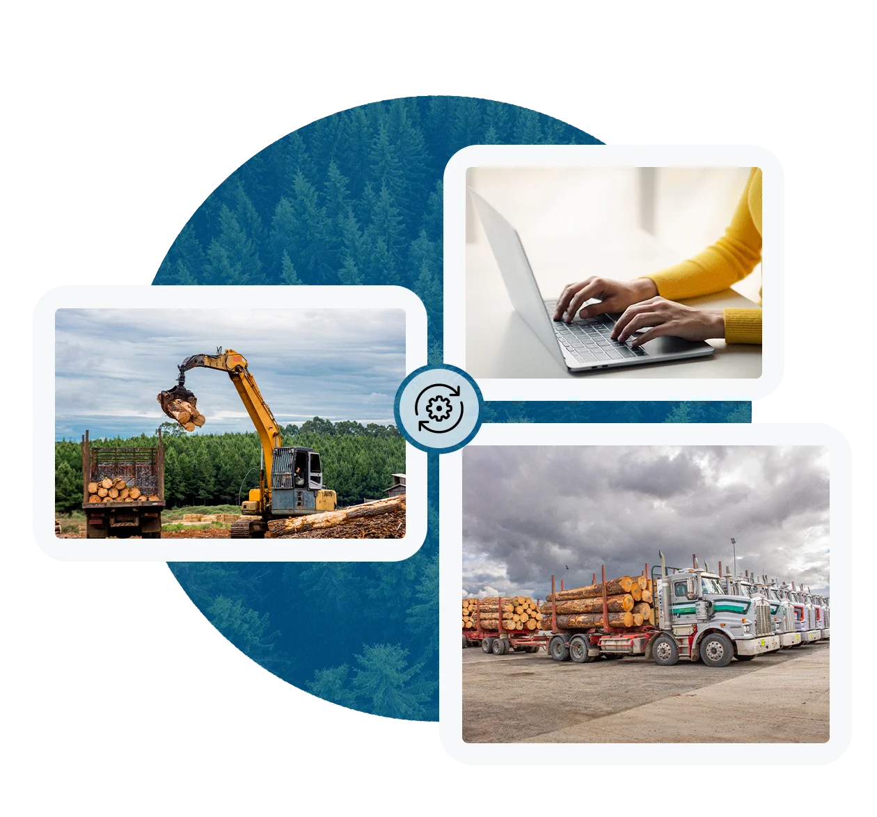 Collage showing forestry operations: excavator loading logs, person typing on laptop, and trucks transporting logs. Background of forest trees.