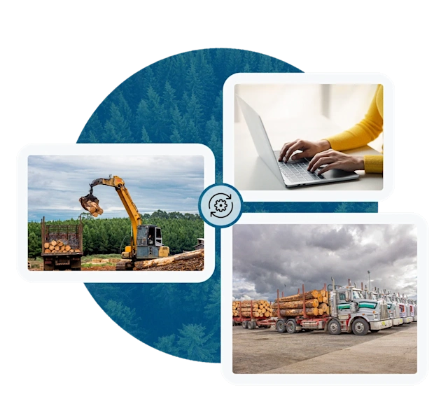 Collage showing forestry operations: excavator loading logs, person typing on laptop, and trucks transporting logs. Background of forest trees.