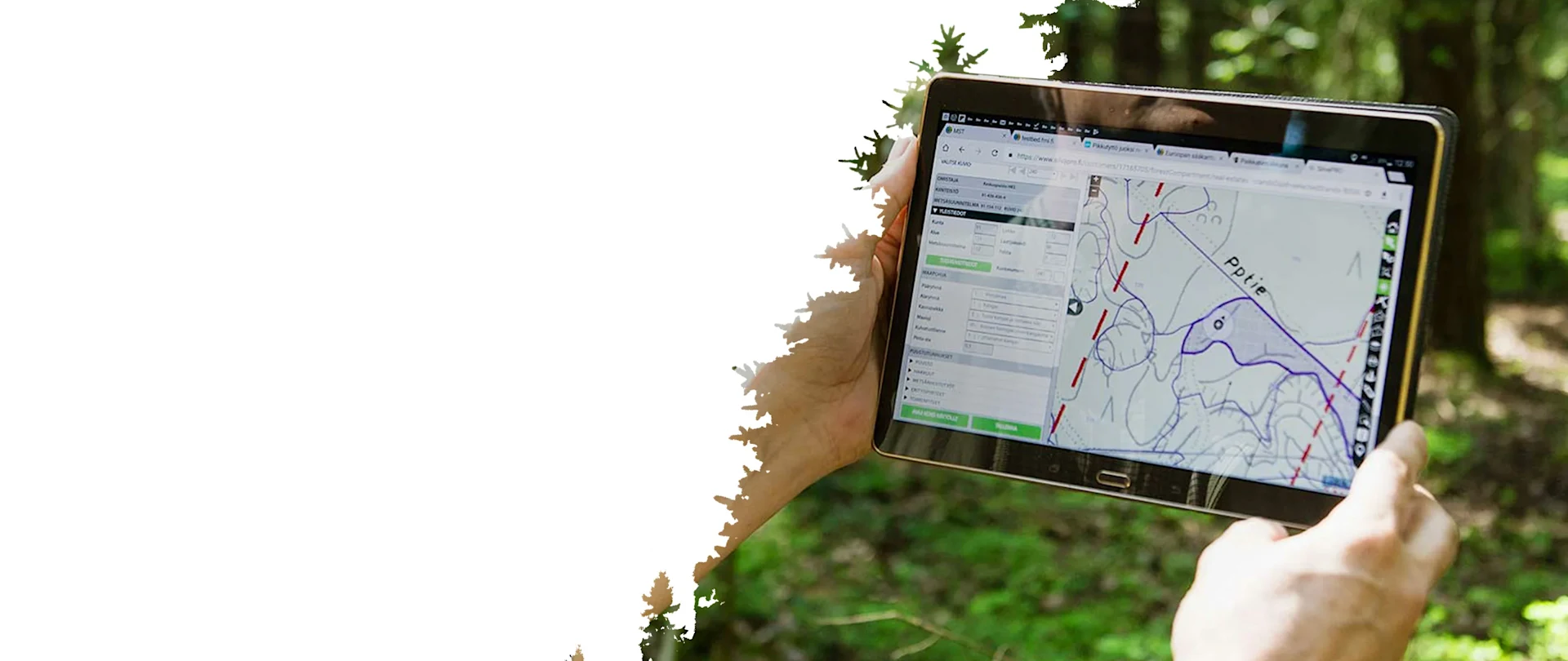 Eine Person steht im Wald und hält ein Tablet in der Hand, auf dem die Forstverwaltungssoftware Trimble SilvaPRO mit einer digitalen Karte und Daten zu Waldparzellen angezeigt wird.