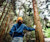 Upward view of person inspecting trees