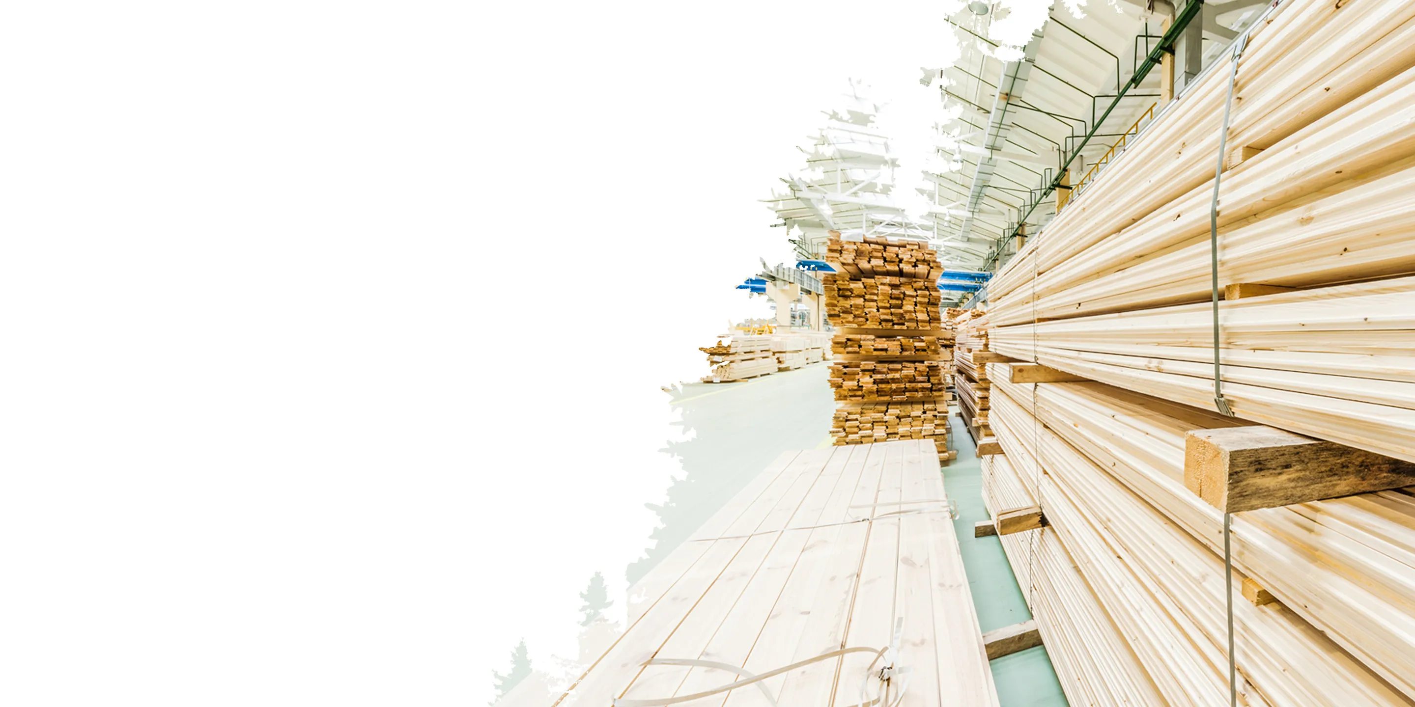 Large stacks of wooden planks and beams fill a spacious, well-lit industrial warehouse. The atmosphere is organized and efficient.