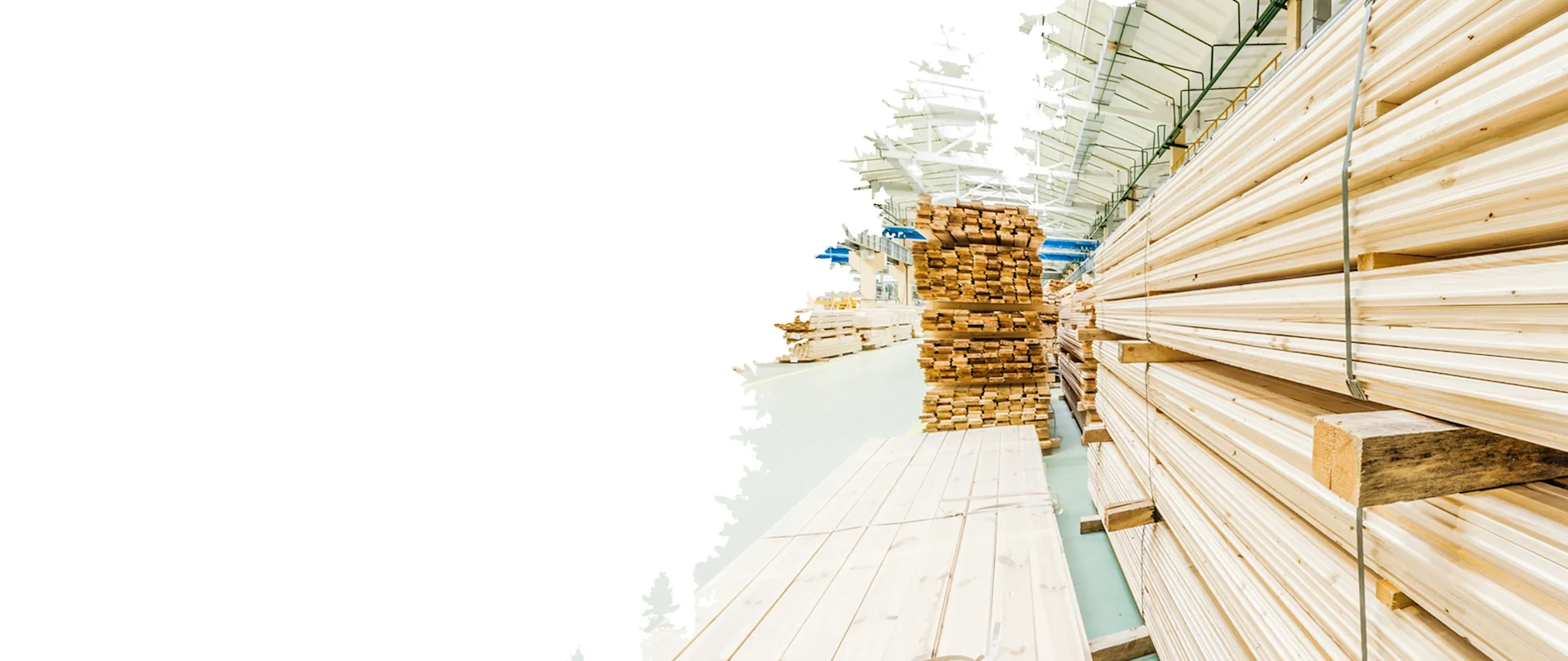Large stacks of wooden planks and beams fill a spacious, well-lit industrial warehouse. The atmosphere is organized and efficient.
