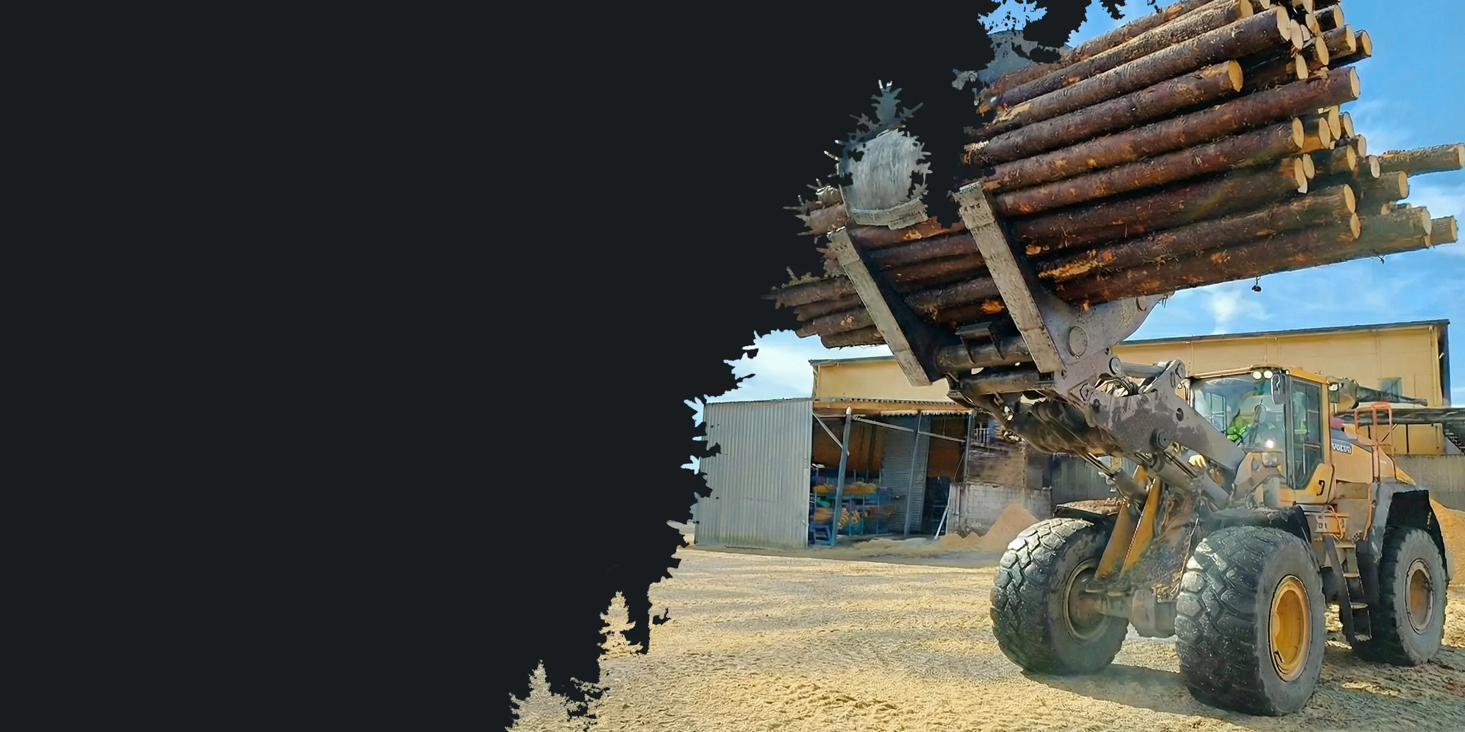 A large loader lifts logs in front of a warehouse under a clear blue sky. Silhouettes of trees frame the left side, creating a rugged atmosphere.