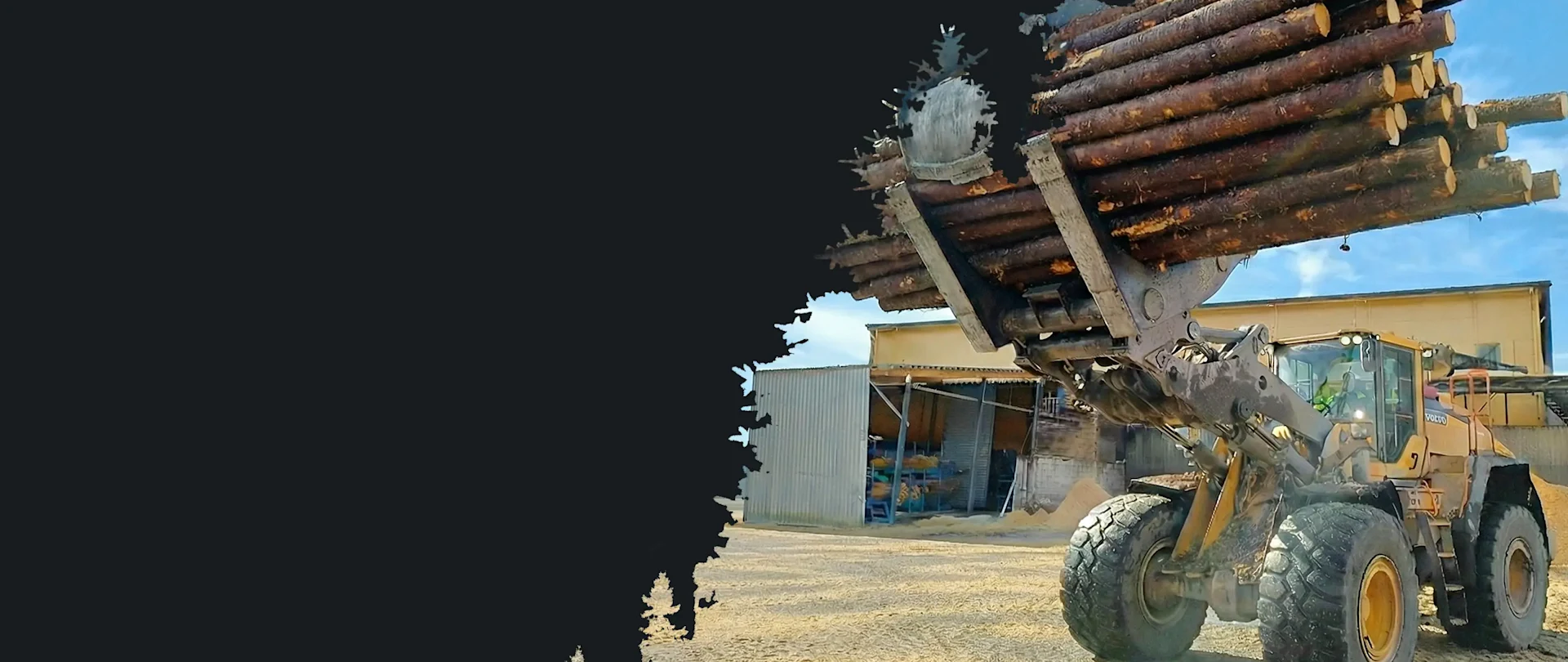 Ein großer Lader hebt vor einem Lagerhaus Baumstämme an. Die Silhouetten von Bäumen rahmen die linke Seite ein und erzeugen eine raue Atmosphäre.