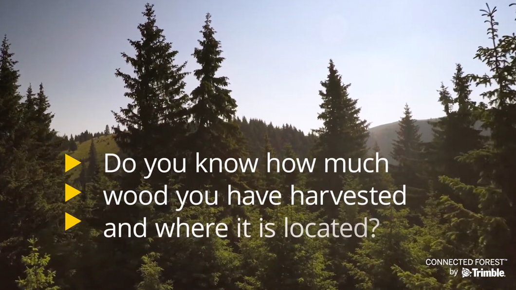 A dense forest under a clear blue sky. Overlaid text reads, "Do you know how much wood you have harvested and where it is located?"