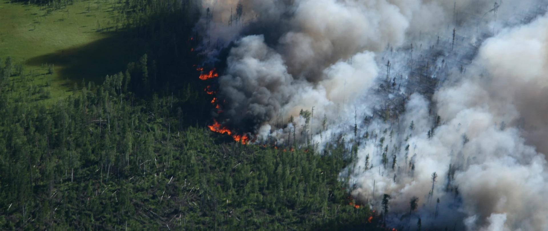 Luchtfoto van bosbrand met rook
