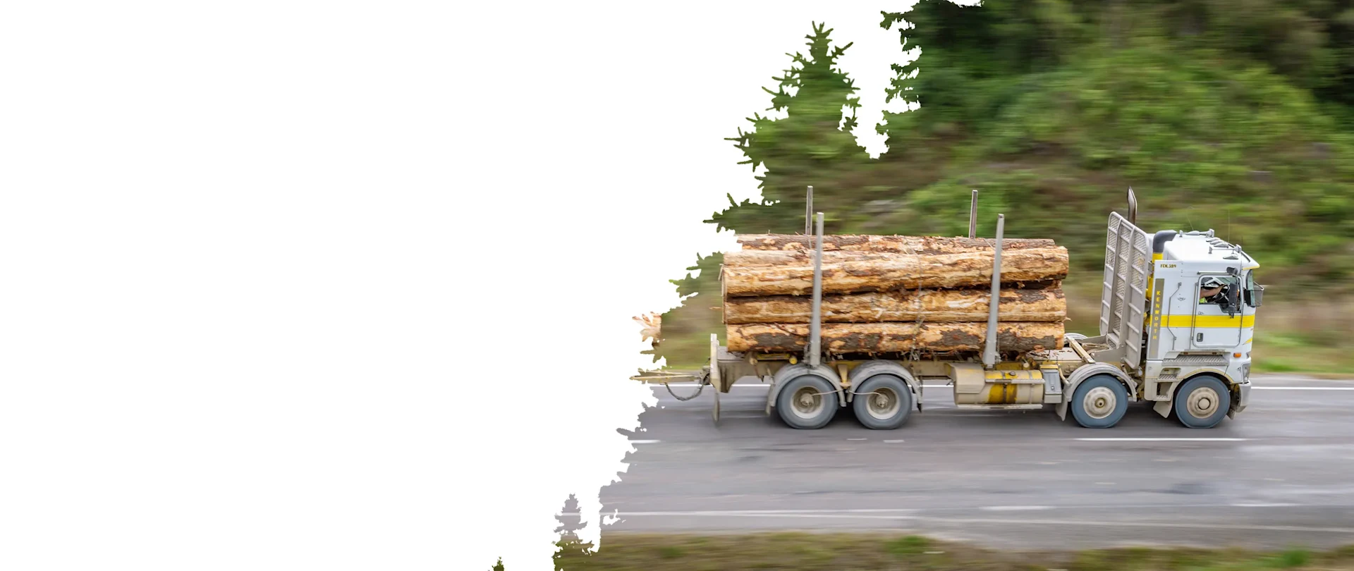 Ein Holztransporter, beladen mit großen Baumstämmen, fährt über eine von grünem Laub umgebenen Landstraße. Die Bewegungsunschärfe betont Geschwindigkeit und Aktivität.