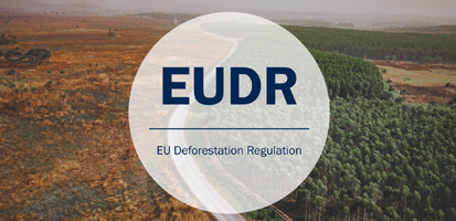 Aerial view of a road dividing deforested land and lush forest, overlaid with text "EUDR: EU Deforestation Regulation."