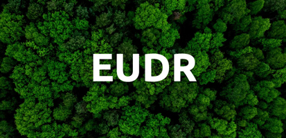 Aerial view of a dense, vibrant green forest with the bold, white letters "EUDR" overlaid in the center