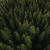 people-planet-aerial-forestry1-640x640