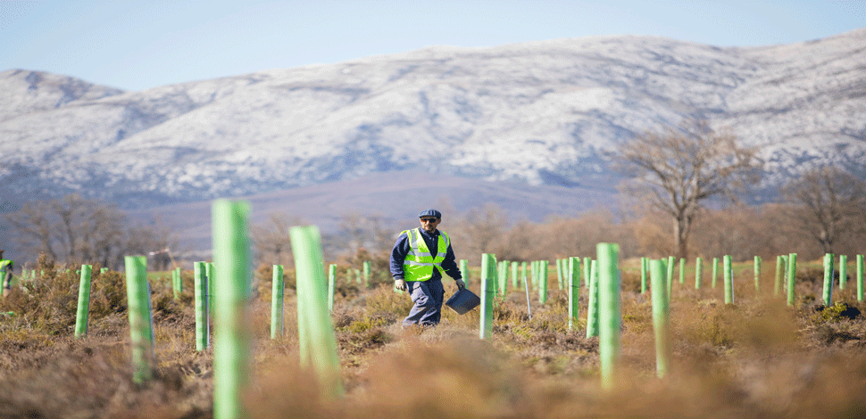 Trimble Catalyst Boosts Efforts to Restore Forests and Degraded Lands