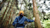 A person wearing a dark blue long-sleeved shirt and a yellow cap is seen from behind, standing in a dense forest and looking up at the tall trees.