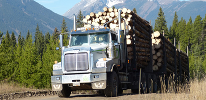 A large truck transports logs on a dirt road surrounded by forests, with mountains in the background.