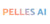 PELLES.AI logo