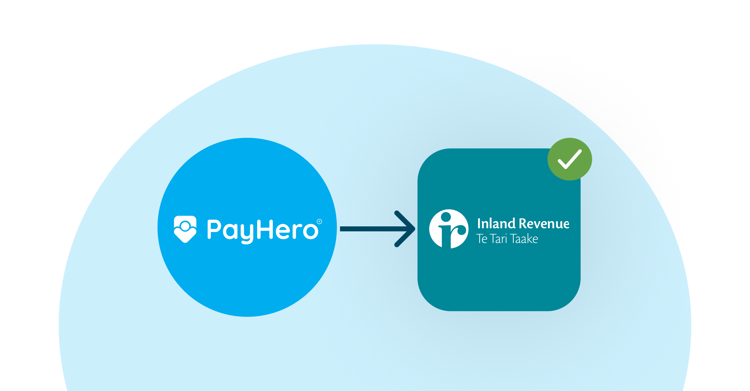 A Guide to Payday Filing in New Zealand  | Guide