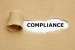 What is Payroll Compliance? | Blog