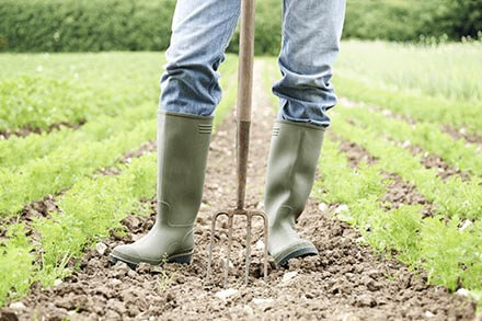 Farmers stung by MBIE investigation | News Farmers stung by MBIE investigation | News