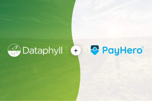 Dataphyll + PayHero: Eliminate orchard paperwork and pay employees right | Blog