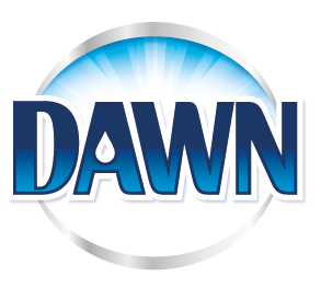 Dawn Dish Soap Guide – Howzoo