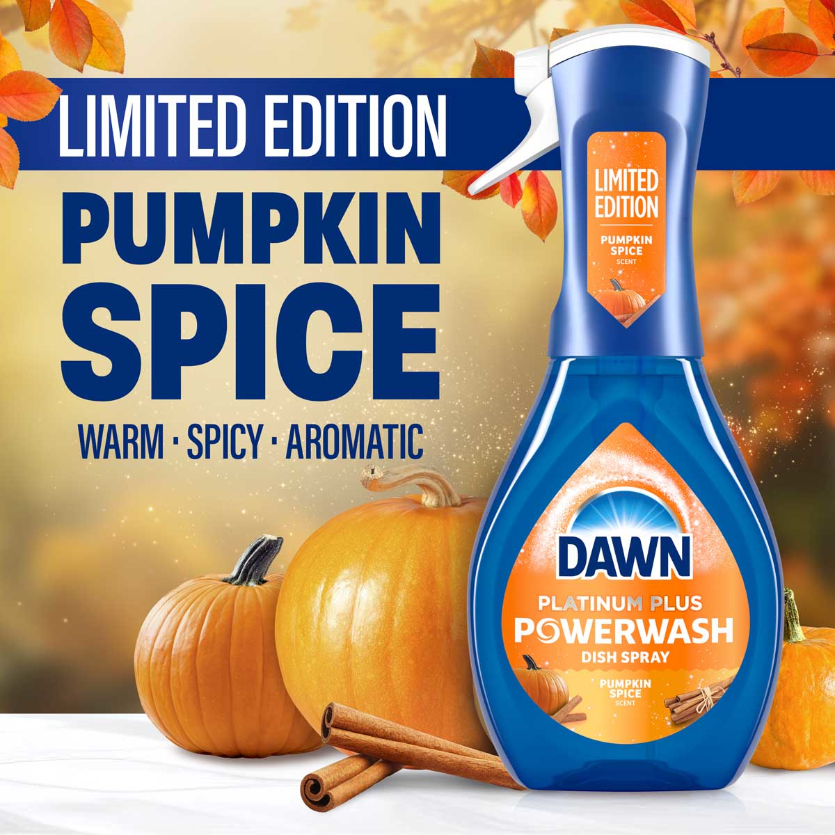 Limited Edition Pumpkin Spice: Warm - Spicy - Aromatic