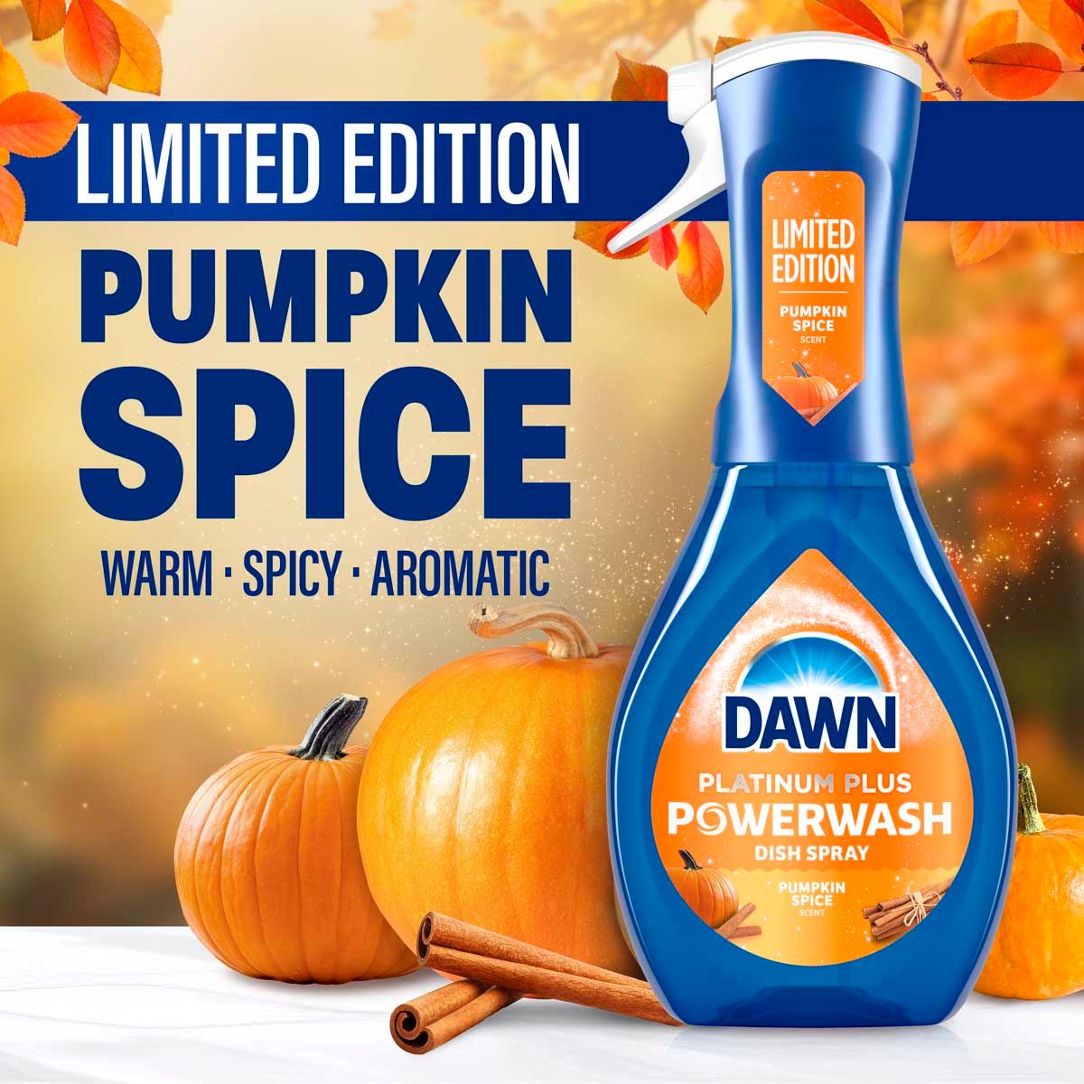 Limited Edition Pumpkin Spice: Warm - Spicy - Aromatic