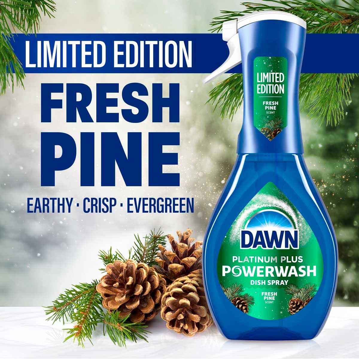 Limited Edition Fresh Pine: Earthy - Crisp - Evergreen