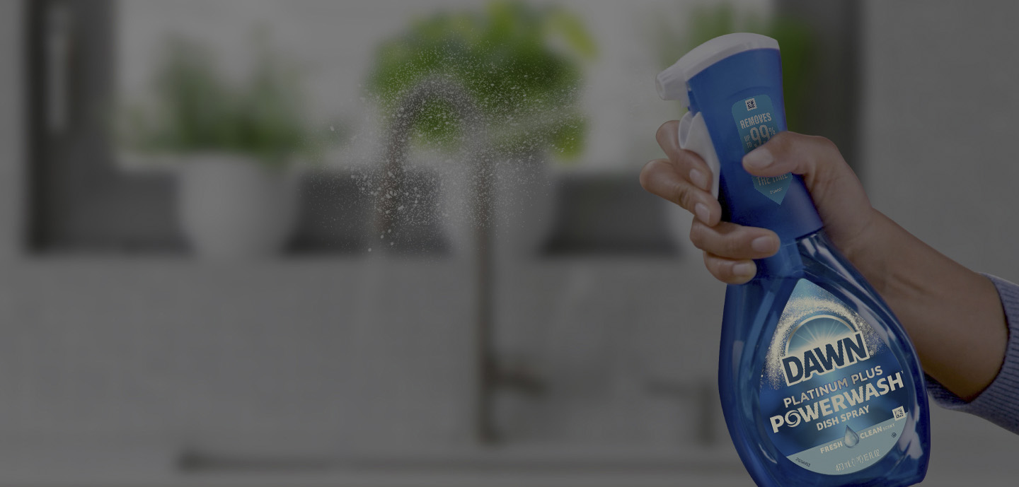 Dawn Platinum Powerwash Spray, Pumpkin Spice Scent | Dawn