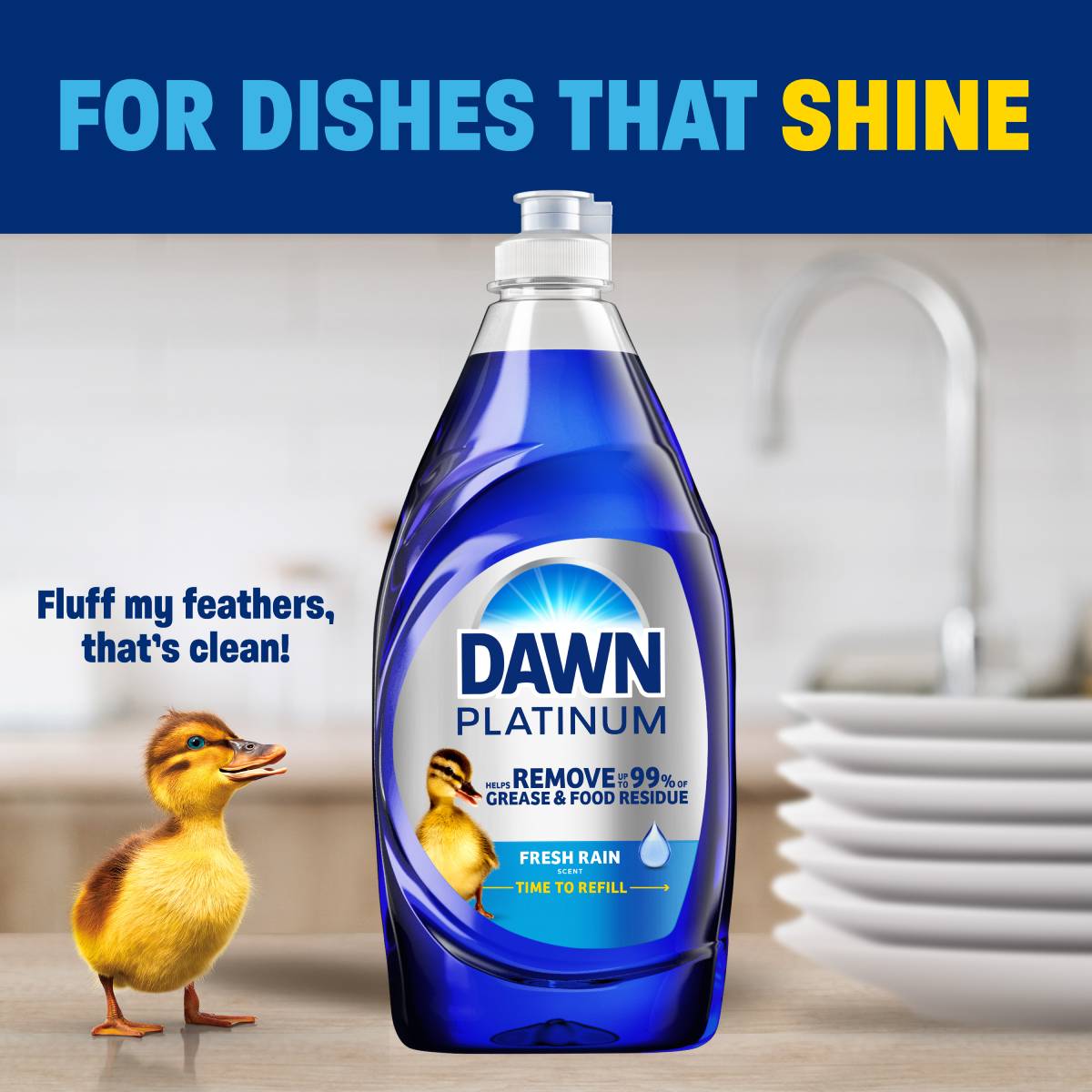 For Dishes That Shine - Fluff my feathers, that's clean!