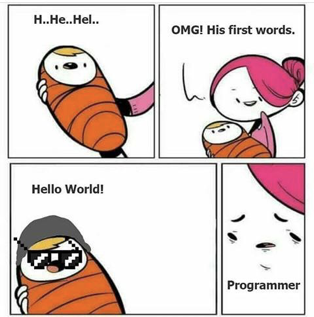 https://devrant.com/rants/1110774/a-new-programmer-was-born