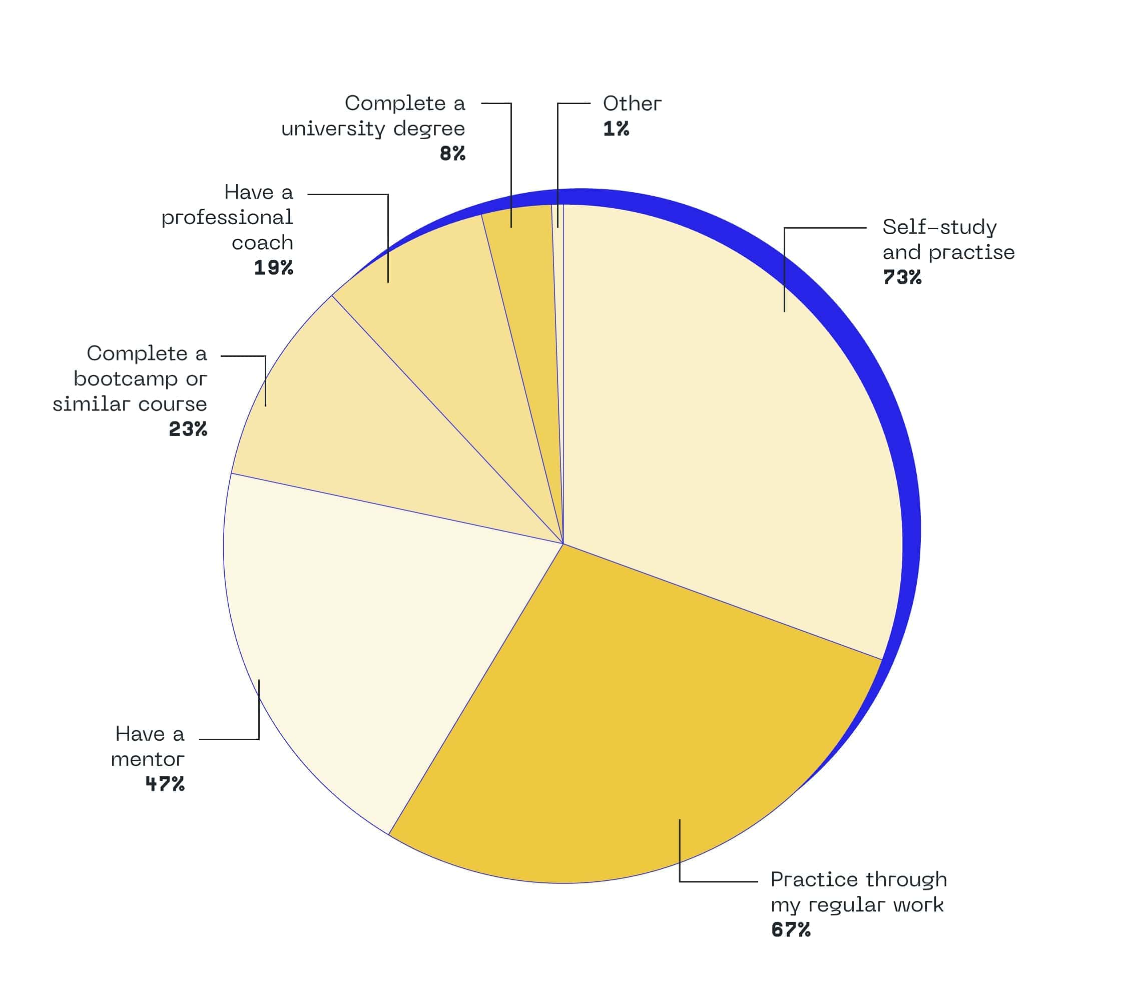 developer skill development europe