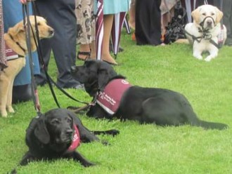 Hearing dogs for the deaf