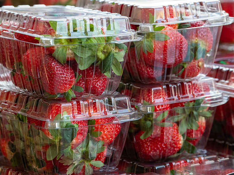 Ecosurety Packaging Sustainability Training